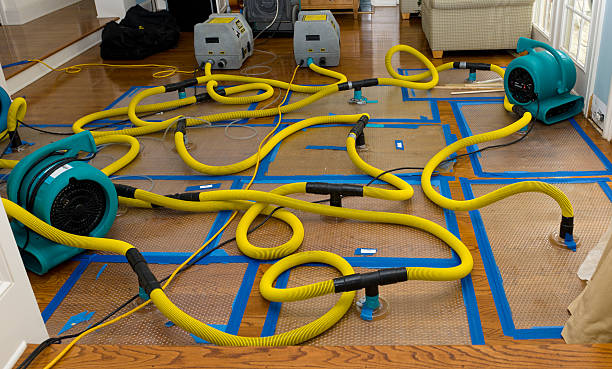 Professional Basement Flood Cleanup technician working in Franklin, IN